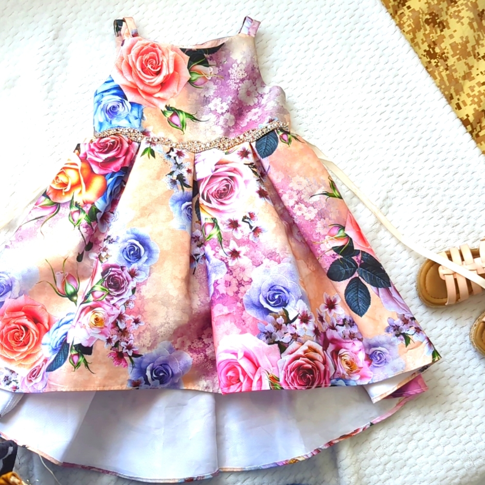 Extravagant Toddler Dress